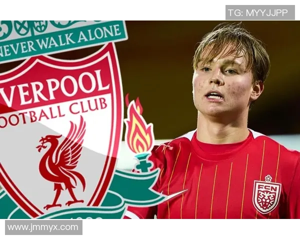 恩佐足球球星挂件价格如何影响球迷收藏热潮分析