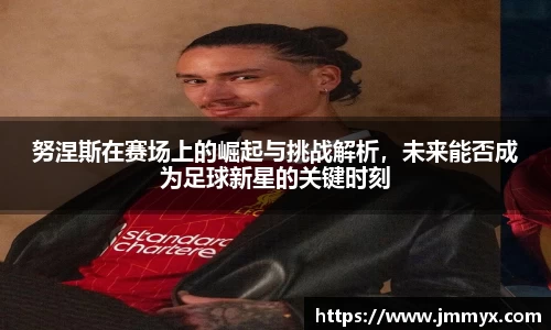 快盈VIII